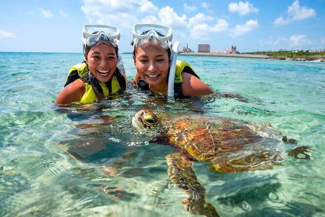 Okinawa Miyako Sea turtle Snorkeling Free Pick up and Drop off - Meeting turtles and clownfish in clear water