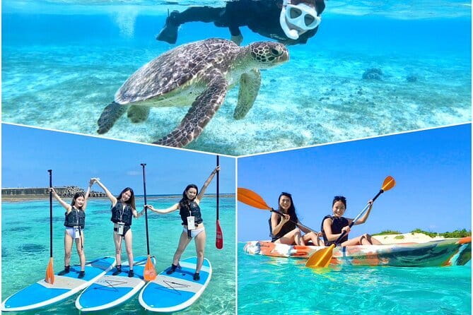 Okinawa Miyako Sea turtle Snorkeling Free Pick up and Drop off - The strongest praise goes to Taku
