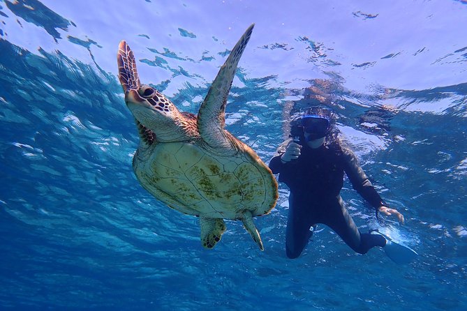Okinawa Miyakojima 1 day Sea Turtle Snorkeling & Pumpkin Cave & Sea Kayak - The lunch break and the hidden cost of time