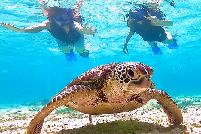 Okinawa Miyakojima 1 day Sea Turtle Snorkeling & Pumpkin Cave & Sea Kayak - The guides and language support