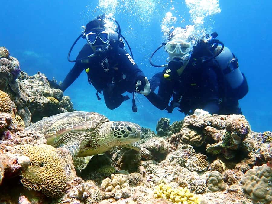 Okinawa:Naha:Kerama Island Experience 1Dive and Snorkeling - Key points at a glance