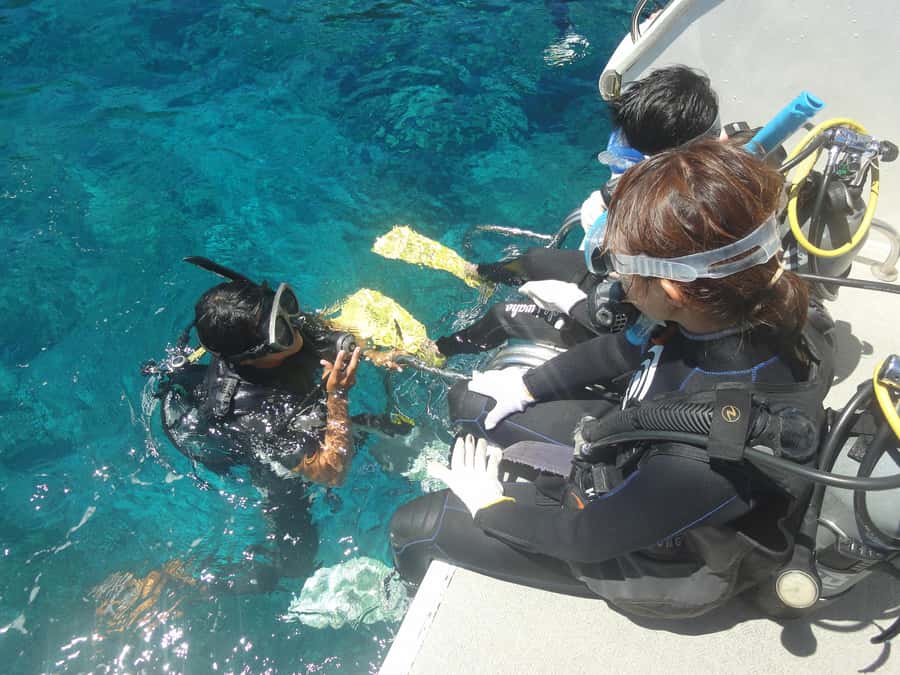 Okinawa:Naha:Kerama Island Experience 1Dive and Snorkeling - Practical limits you should take seriously