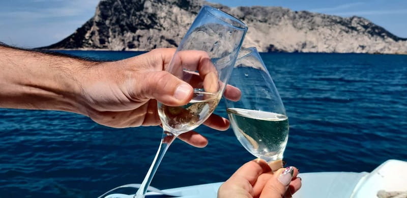 Olbia: Boat tour to watch Dolphins and snorkeling - Five things to know before booking
