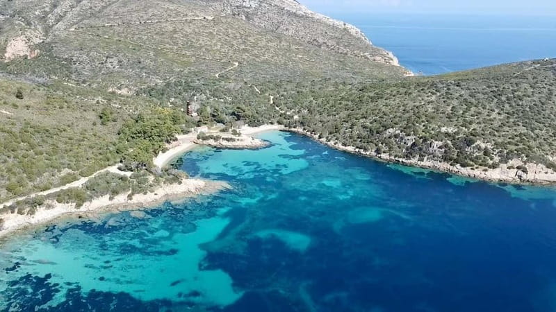 Olbia: Boat tour to watch Dolphins and snorkeling - A Sardinian aperitif with Anett