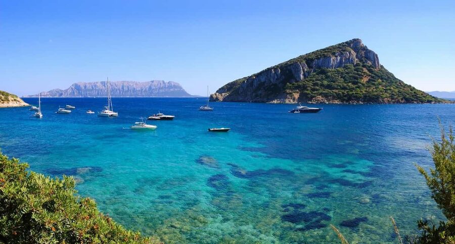 Olbia: Dolphin Watching and Snorkeling Boat Tour - Why the guide matters so much