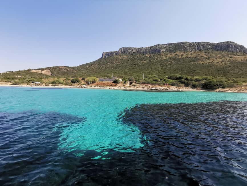 Olbia: Dolphin watching and snorkeling tour on Figarolo Island - Key points at a glance