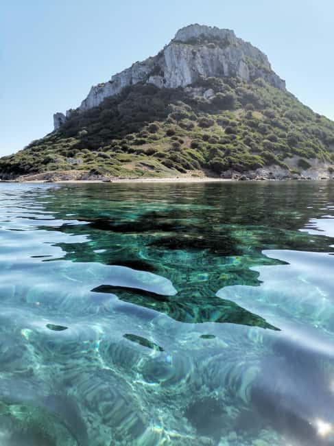 Olbia: Dolphin watching and snorkeling tour on Figarolo Island - Watching bottlenose dolphins near Figarolo