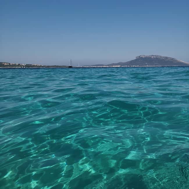 Olbia: Dolphin watching and snorkeling tour on Figarolo Island - Cala Moresca and the welcome drink
