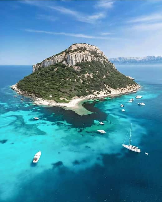 Olbia: Dolphin Watching & Snorkeling Boat Tour near Figarolo - Bocca Island and the return through the Gulf