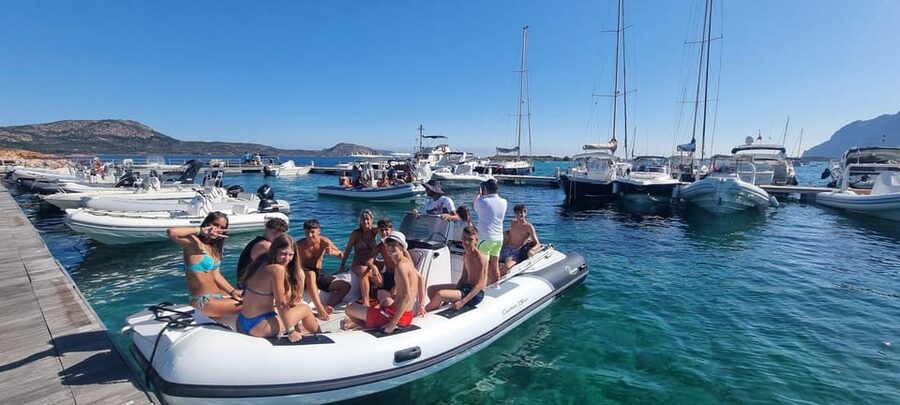 Olbia: Dolphin Watching & Swim and snorkel in Capo Figari - How the price compares with the experience