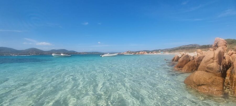 Olbia: Dolphin Watching & Swim and snorkel in Capo Figari - My final call on booking
