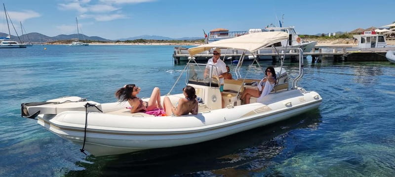 Olbia: Dolphin Watching & Swim and snorkel in Capo Figari - The first 30 minutes on the speedboat