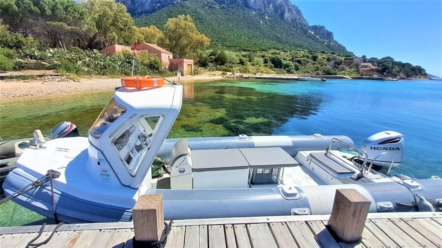 Olbia: Dolphin Watching Tour with Figarolo Island Snorkeling - Snorkeling near Capo Figari