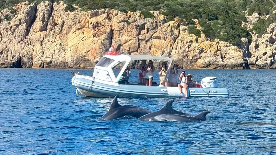 Olbia: Dolphin Watching Tour with Figarolo Island Snorkeling - Crossing the gulf toward Figarolo Island