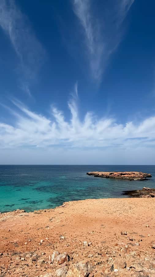 Oman: Daymaniyat Islands Visit and Snorkeling - Summer protects the nesting beaches