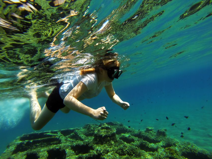 Omiš: Kayaking and Snorkeling Tour - Why this Cetina River tour is worth considering