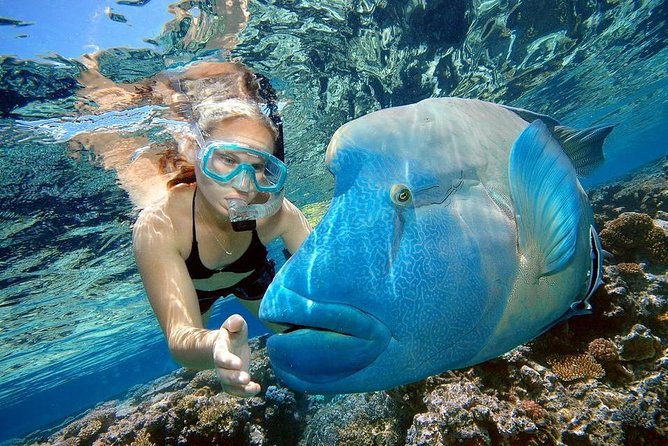 Orange Bay Island Snorkeling Trip With Water Sports - Hurghada - Banana boat and tow-tube rides