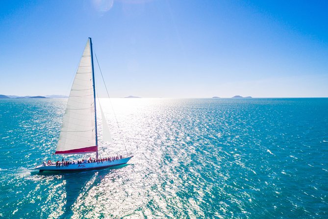 Outer Great Barrier Reef Snorkel Adventure in Airlie Beach - What the outer reef can deliver