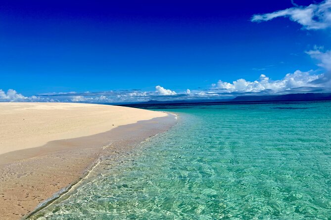Outer Reef Mackay Cay Sail & Snorkel Adventure from Port Douglas - Who will enjoy Mackay Cay most?