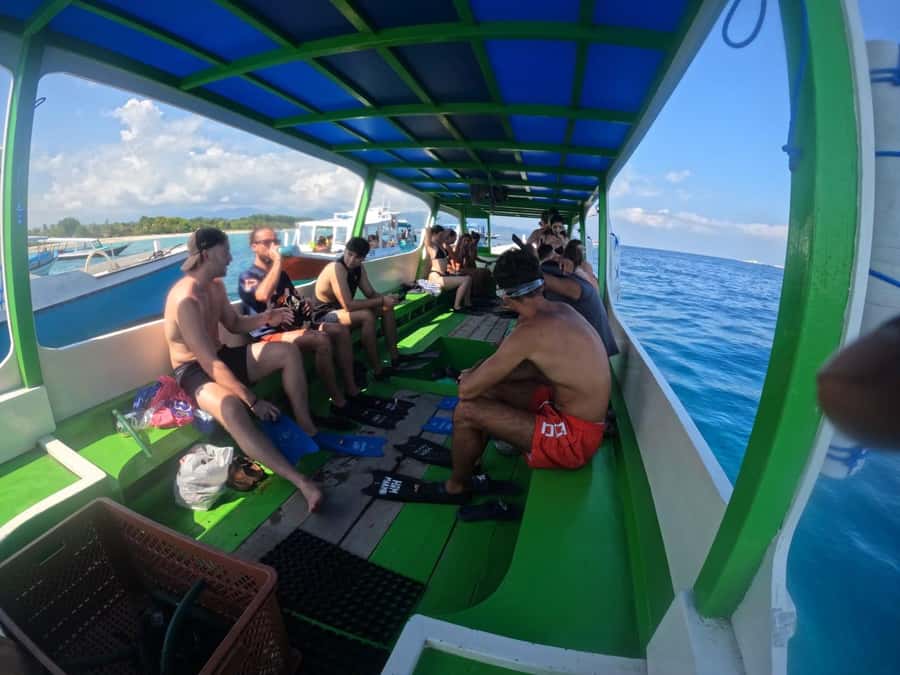 Ozzy Snorkeling 3 Islands Visit Baby Turtles - Who should book Ozzy Snorkeling?