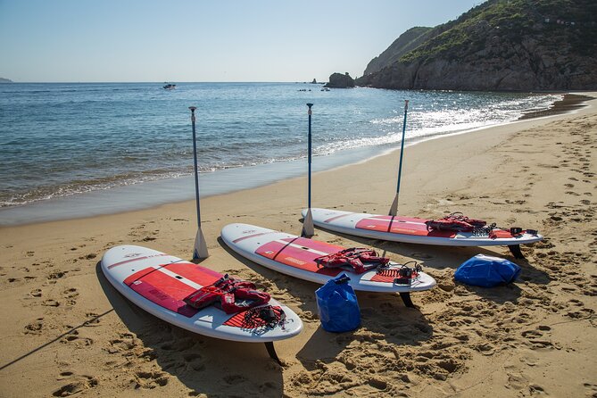 Paddleboard Expedition to the Arch of Cabo San Lucas, Lovers Beach & Snorkel - Arriving at the Arch and sea lion colony