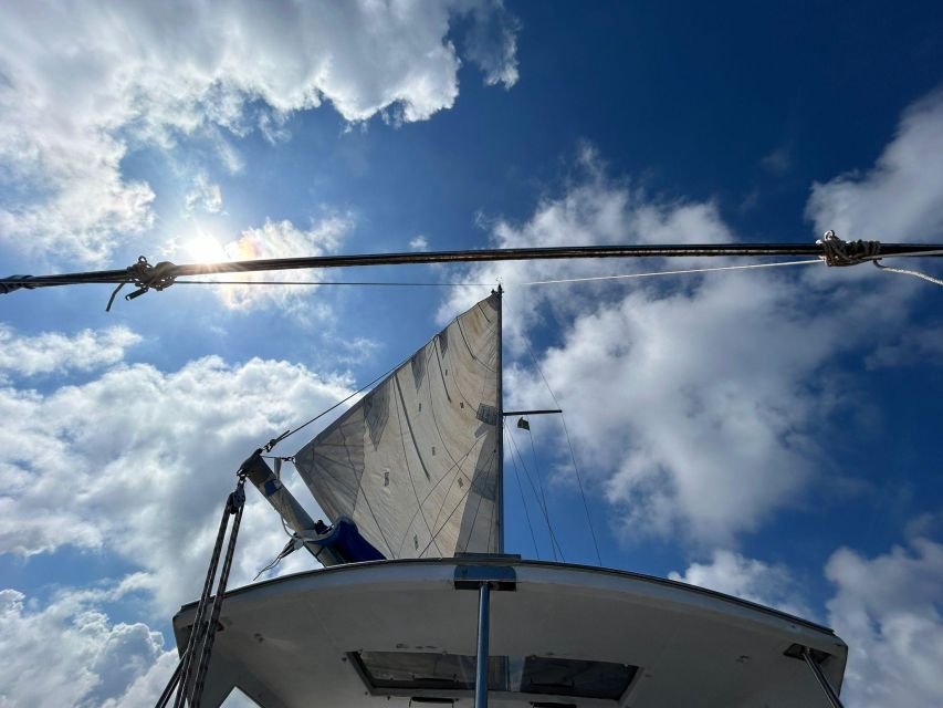 Palermo: Full-Day Snorkeling Boat Tour with Lunch and Wine - Key points to know before booking