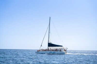 Catamaran Cruise with Swimming and Snorkelling