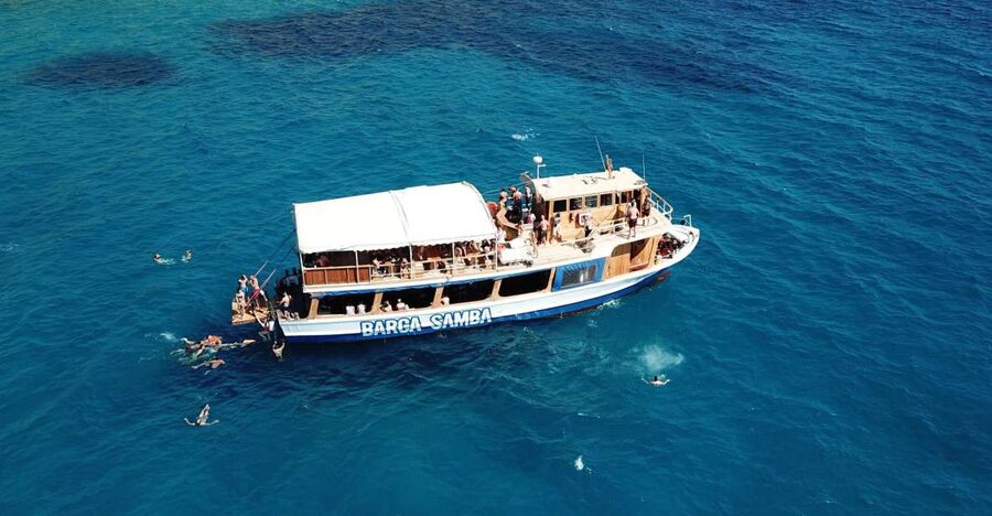 Palma de Mallorca: Palma Bay Boat Tour with Snorkeling - Palma Cathedral, the harbor, and the Tramuntana view