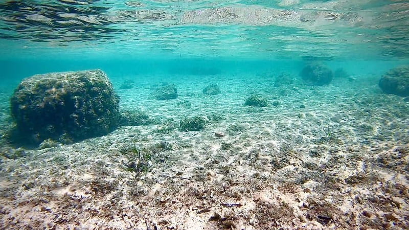 Palma de Mallorca: Private Boat Tour with Snorkel and Paddle - What the skipper adds to the experience