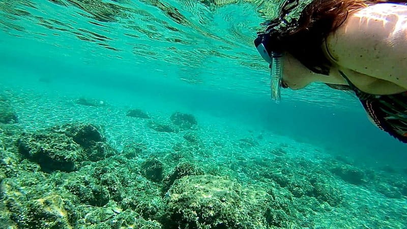 Palma de Mallorca: Private Boat Tour with Snorkel and Paddle - Price, group size, and what you receive