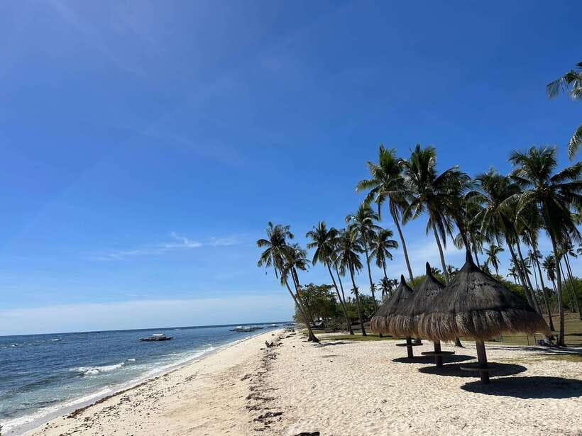 Pamilacan island: Dolphins, snorkel, lunch and walking tour - Five details worth knowing before you book