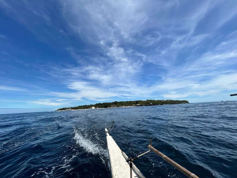 Pamilacan island: Dolphins, snorkel, lunch and walking tour - Three hours around the Pamilacan marine sanctuary