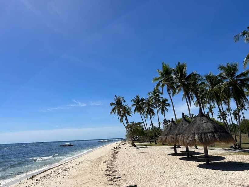 Pamilacan island: Dolphins, snorkel, lunch and walking tour - Walking through Pamilacan’s history and daily life
