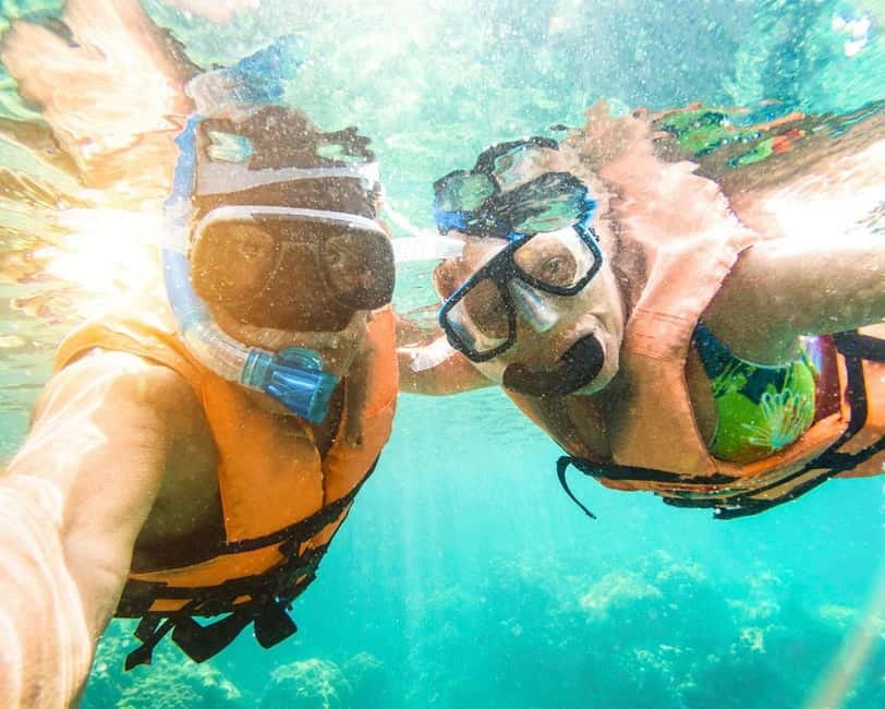 Panglao: Snorkeling at NapalingReef with Sardines Experience - The essential details at a glance