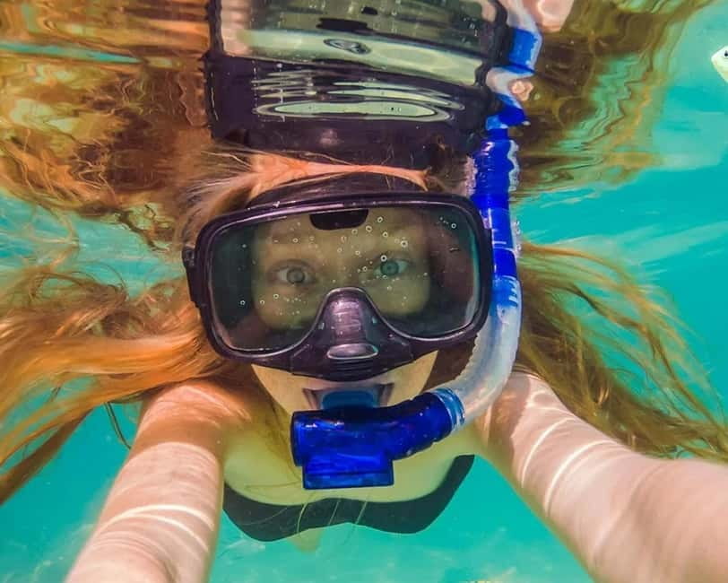 Panglao: Snorkeling at NapalingReef with Sardines Experience - Why Napaling Reef makes a strong half-day plan