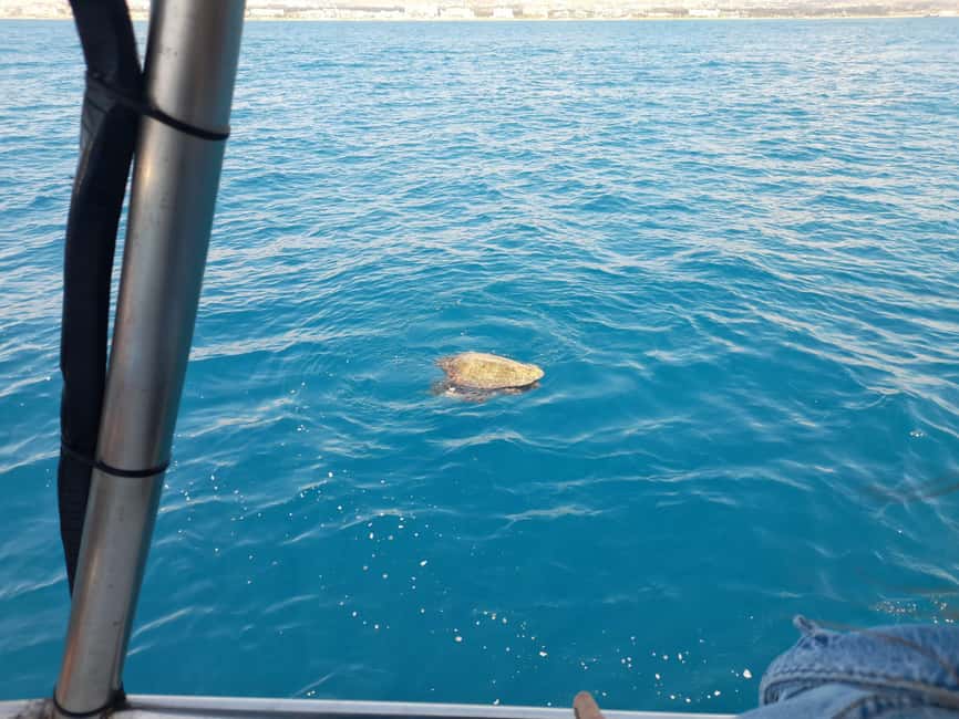 Paphos: The Yellow Glass-Bottom Boat Cruise Swim & Snorkel - Booking flexibility and practical details