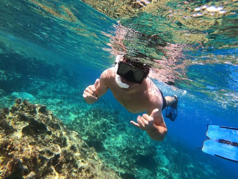 Paphos: Turtle-Watching Snorkeling Sea Scooter Trip - Key details before you book