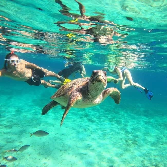 Paphos: Turtle-Watching Snorkeling Sea Scooter Trip - Snorkeling the bay with a shared sea scooter