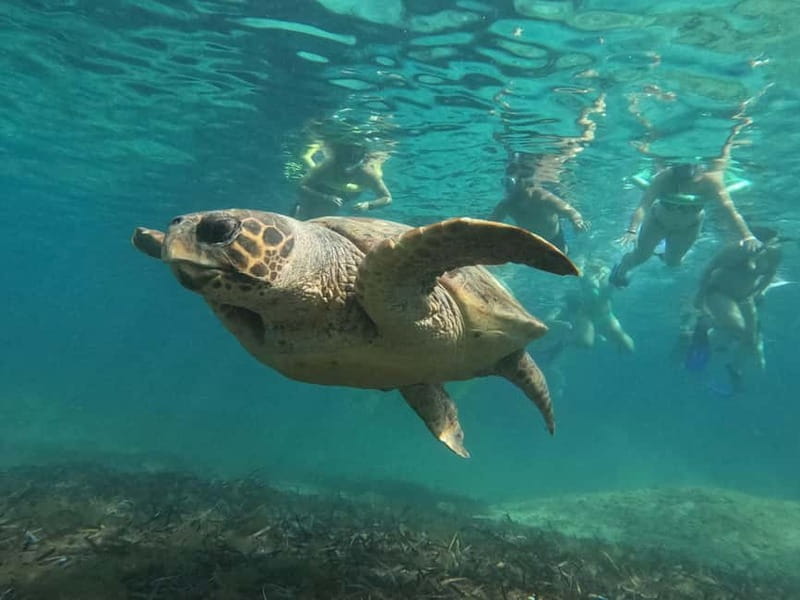 Paphos: Turtle-Watching Snorkeling Sea Scooter Trip - What the final hour adds to the value
