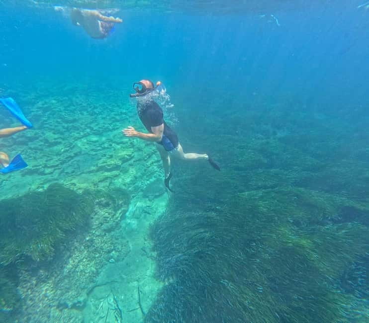 Paphos: Turtle-Watching Snorkeling Sea Scooter Trip - Who should book this Paphos snorkeling trip?