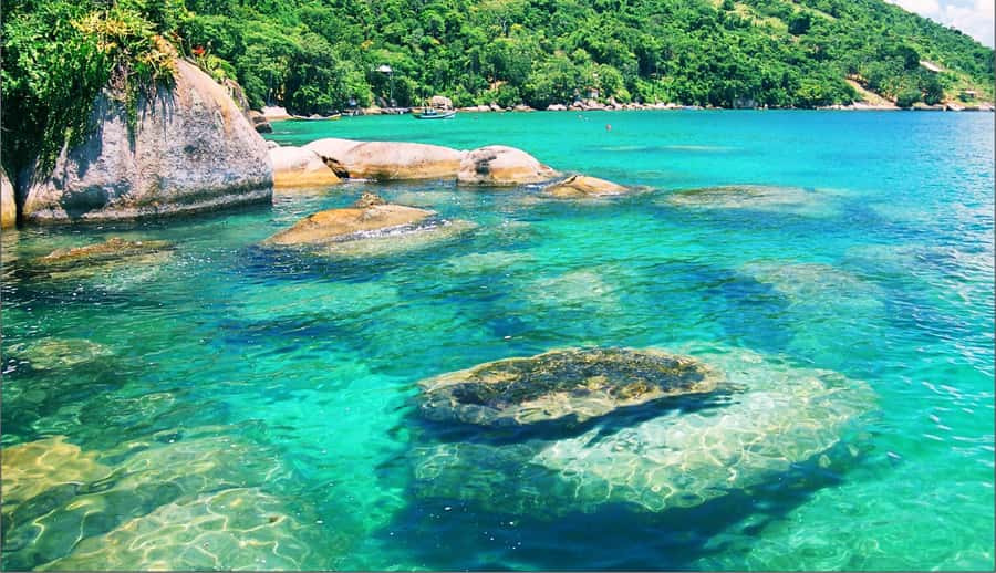 Paraty: Schooner Boat Tour with Beaches and Snorkeling - What the Snorkeling Is Really Like