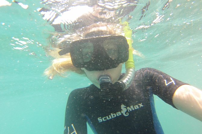 Pelican Rock Snorkeling and Sightseeing Adventure - How this trip compares with a standard boat tour