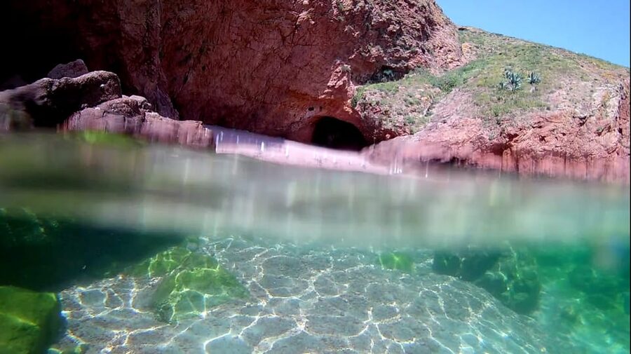 Peniche: Berlengas Island Catamaran Tour + Snorkeling - Watching the coast and looking for dolphins