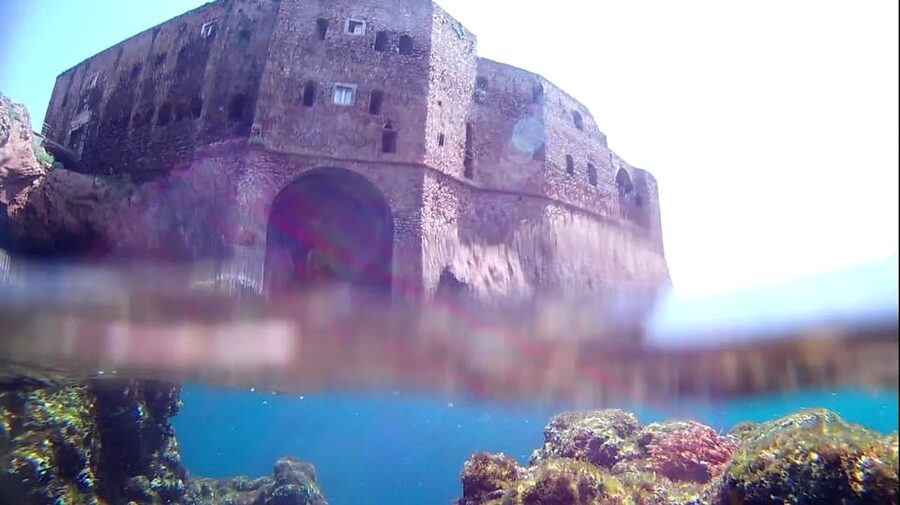 Peniche: Berlengas Island Catamaran Tour + Snorkeling - Should you book the Berlengas catamaran trip?