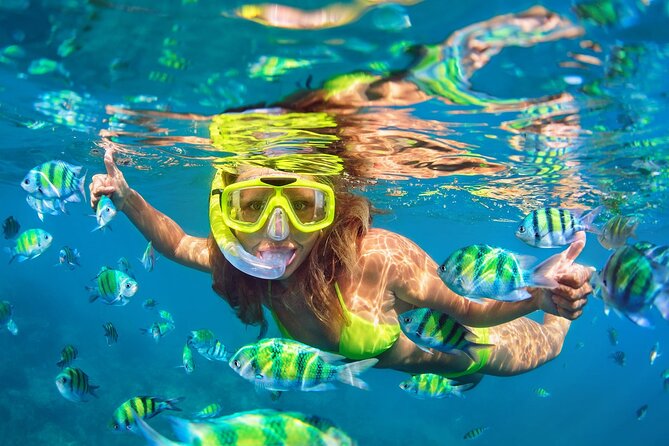 Phi Phi and Khai Islands Snorkeling Tour with Lunch by Speedboat - Phi Phi Leh, Maya Bay, and Pileh Bay