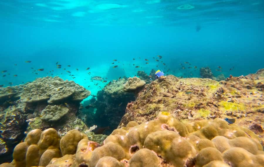 Phi Phi: Private Longtail Boat to Maya Bay with Snorkeling - Who will enjoy this tour most?
