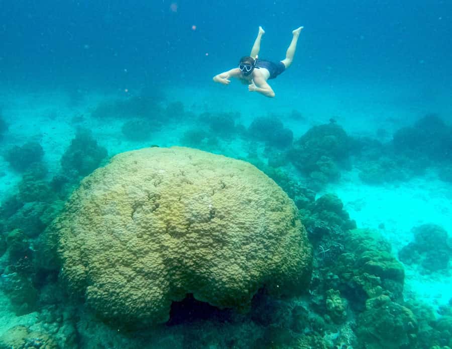 Phi Phi: Private Longtail Boat to Maya Bay with Snorkeling - Bamboo Island requires seven hours