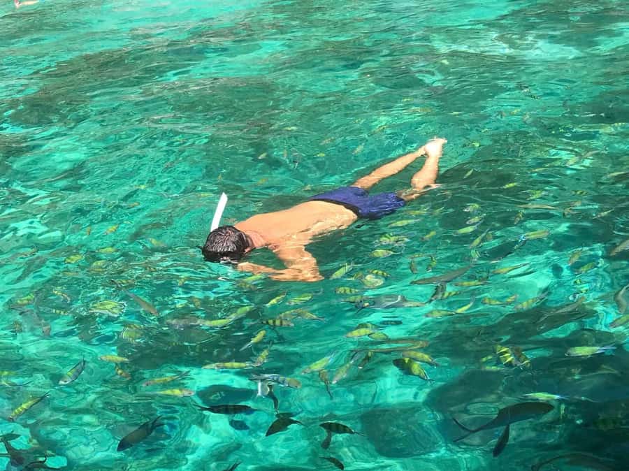Phi Phi: Private Maya Bay Longtail Boat Tour with Snorkeling - Loh Samah Bay for coral and fish