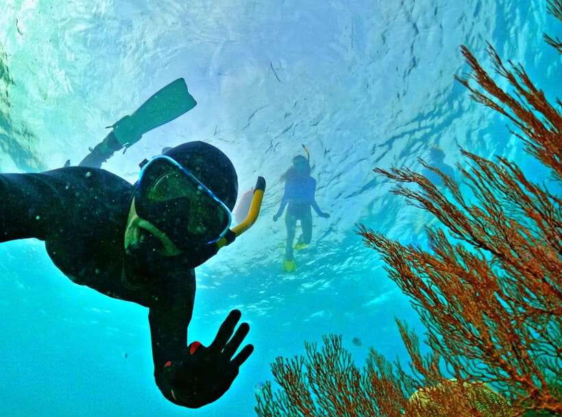 Phu Quoc Small-group Snorkeling to the Coral Jungle Reef - Why the small group changes the day
