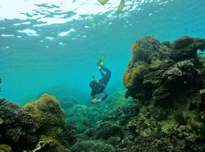 Phu Quoc Small-group Snorkeling to the Coral Jungle Reef - A calm beach gives you time to settle in